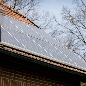 Auf dem Dach eines Hauses sind mehrere Solarpanels installiert, um erneuerbare Energie zu erzeugen, umgeben von kahlen Bäumen.