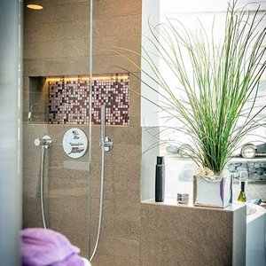 Ein modernes Badezimmer mit einer eleganten Dusche und einer dekorativen Pflanze in einem hellen, einladenden Raum.